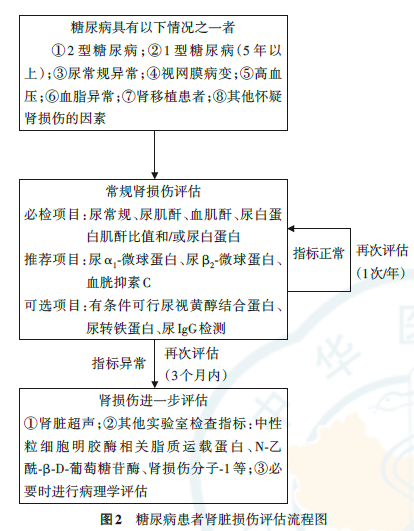 最新《糖尿病腎臟病早期預(yù)測與診斷專家共識》發(fā)布