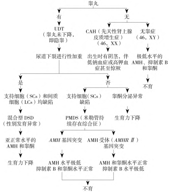 在新共識中認(rèn)識AMH