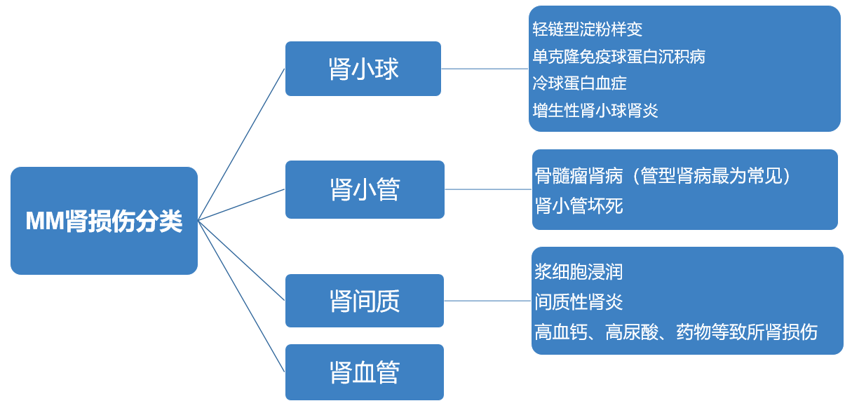 不容忽視的多發(fā)性骨髓瘤腎病