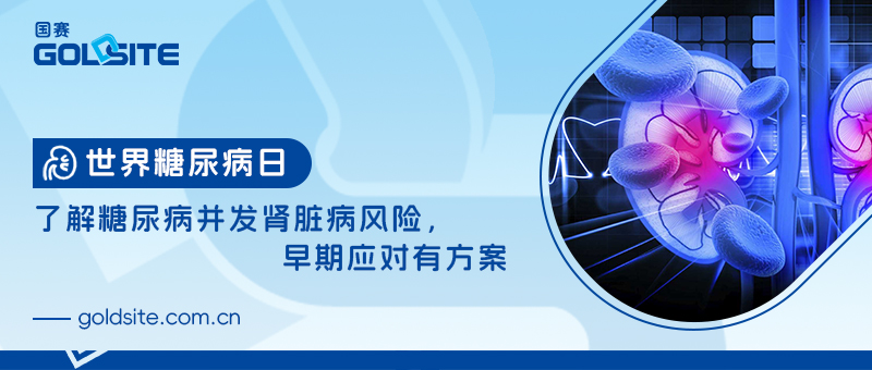 世界糖尿病日：了解糖尿病并發(fā)腎臟病風(fēng)險(xiǎn)，早期應(yīng)對(duì)有方案