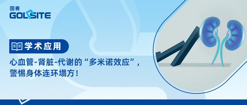 心血管-腎臟-代謝的“多米諾效應(yīng)”，警惕身體連環(huán)塌方！